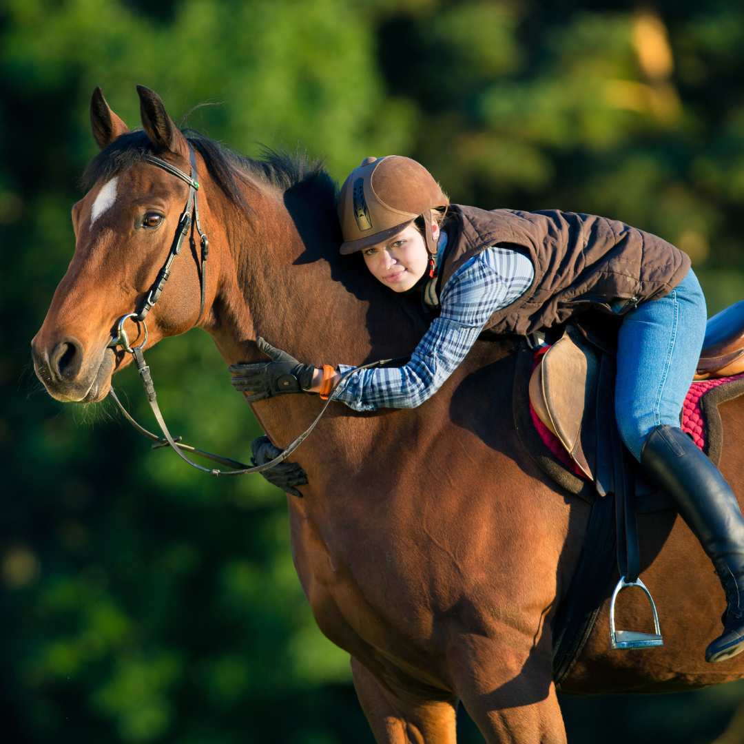 -40% off for 14 laps of Horse rides + a well-trained personal guide