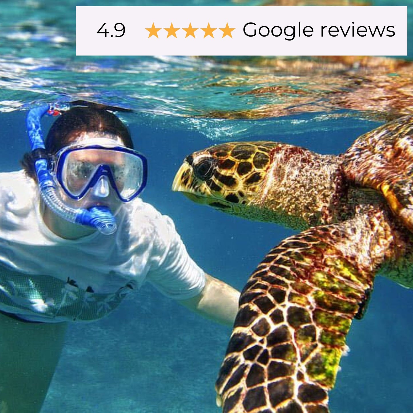 -50% for Snorkeling at Mirissa: guide + swimming to enjoy green turtles, corals, fish and more