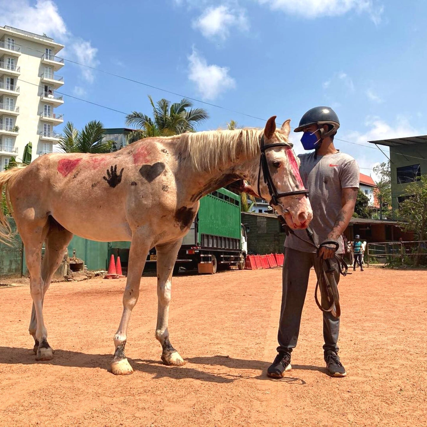 -40% off for 14 laps of Horse rides + a well-trained personal guide