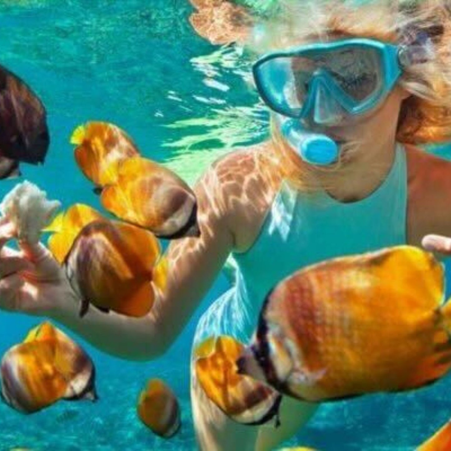 -50% for Snorkeling at Mirissa: guide + swimming to enjoy green turtles, corals, fish and more