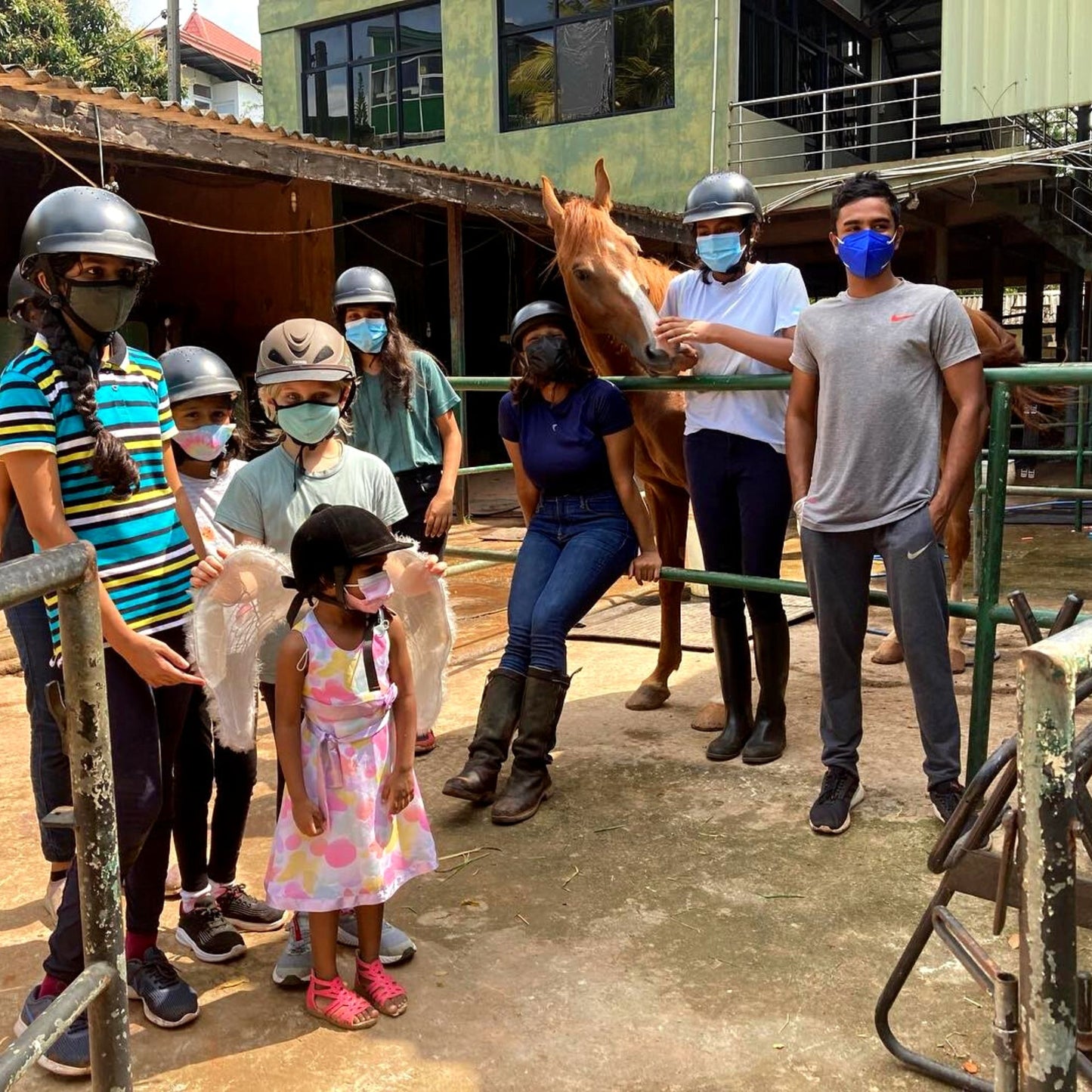 -40% off for 14 laps of Horse rides + a well-trained personal guide