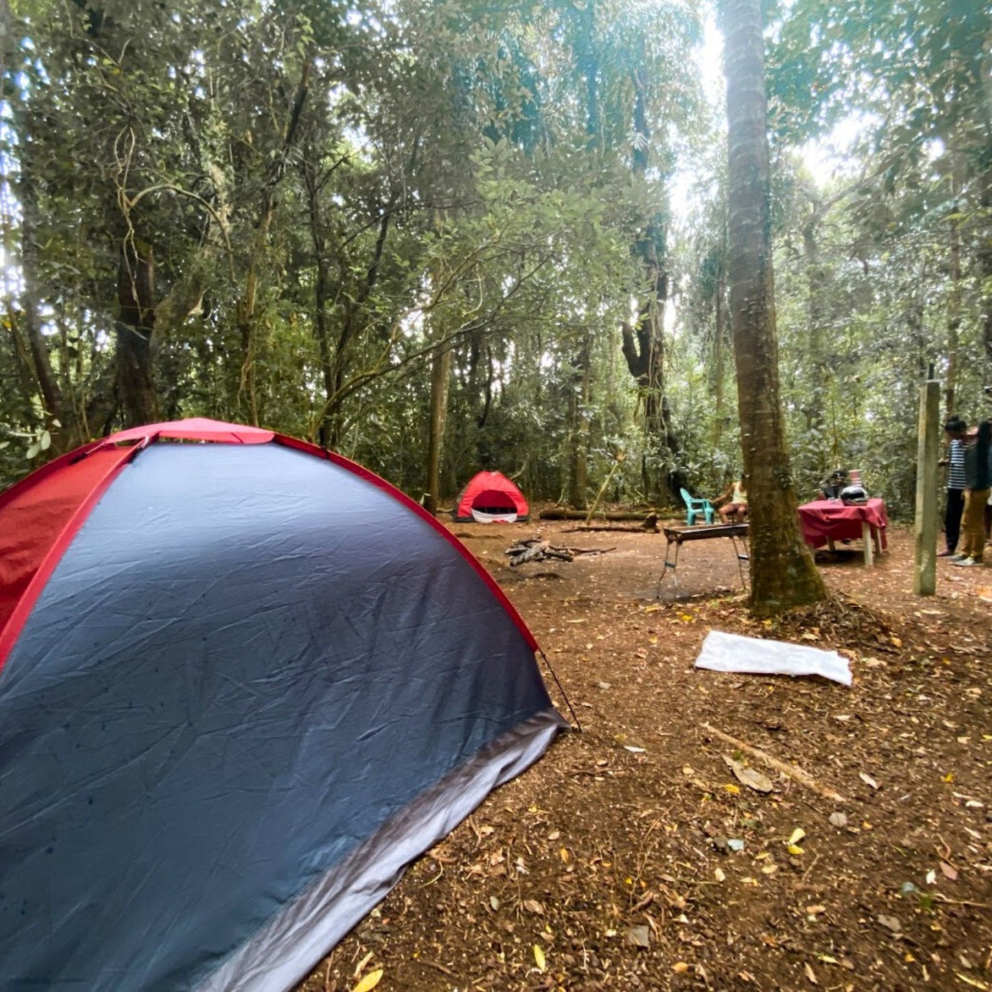 -50% for 2 days 1 night wild Camping for 2 or 5 people at Balapitiya: boat tour to Madhu River Island + full-board meals