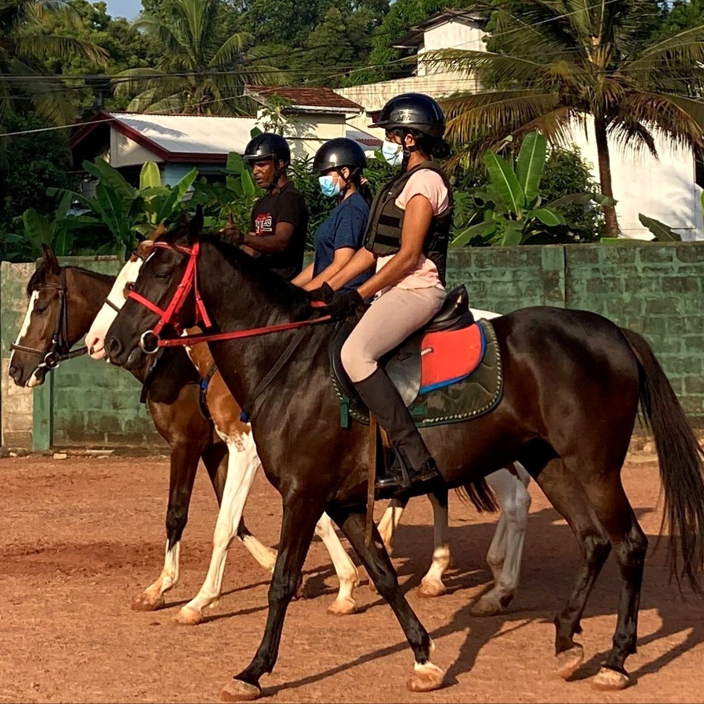 -40% off for 14 laps of Horse rides + a well-trained personal guide