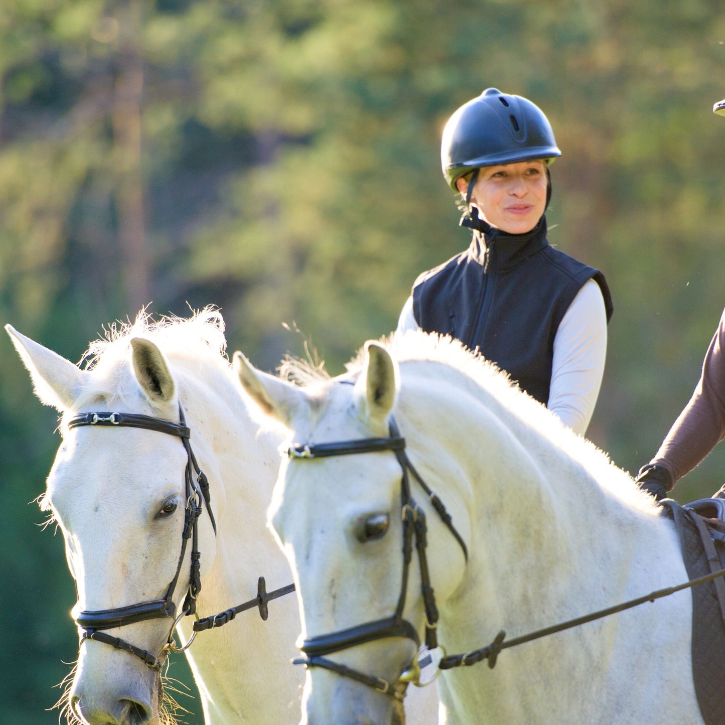-40% off for 14 laps of Horse rides + a well-trained personal guide