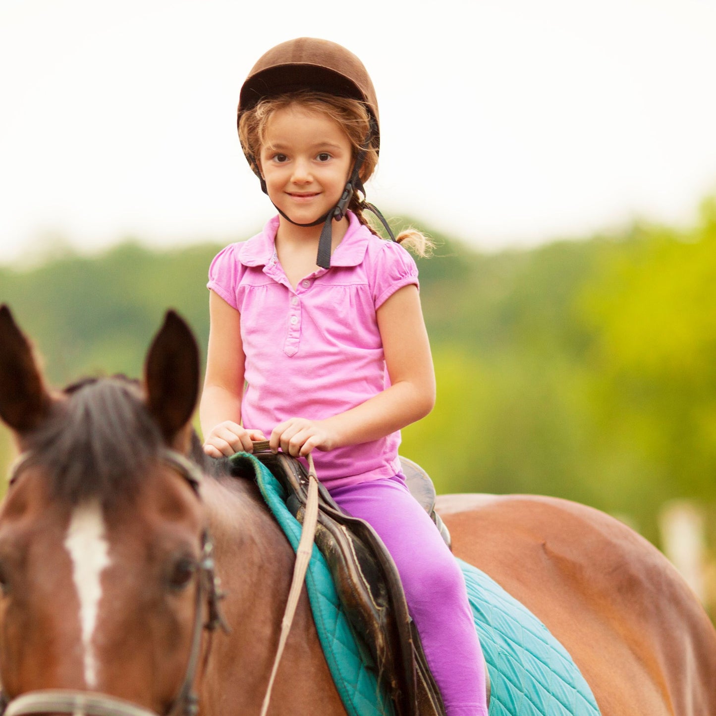 -40% off for 14 laps of Horse rides + a well-trained personal guide
