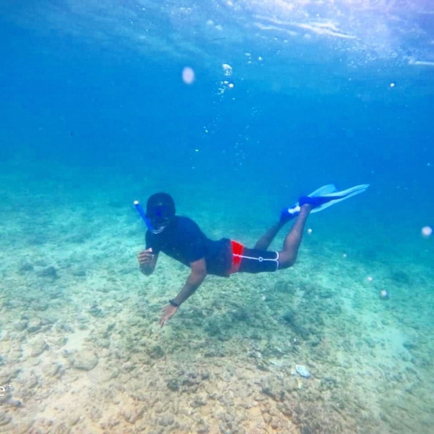 -50% for Snorkeling at Mirissa: guide + swimming to enjoy green turtles, corals, fish and more