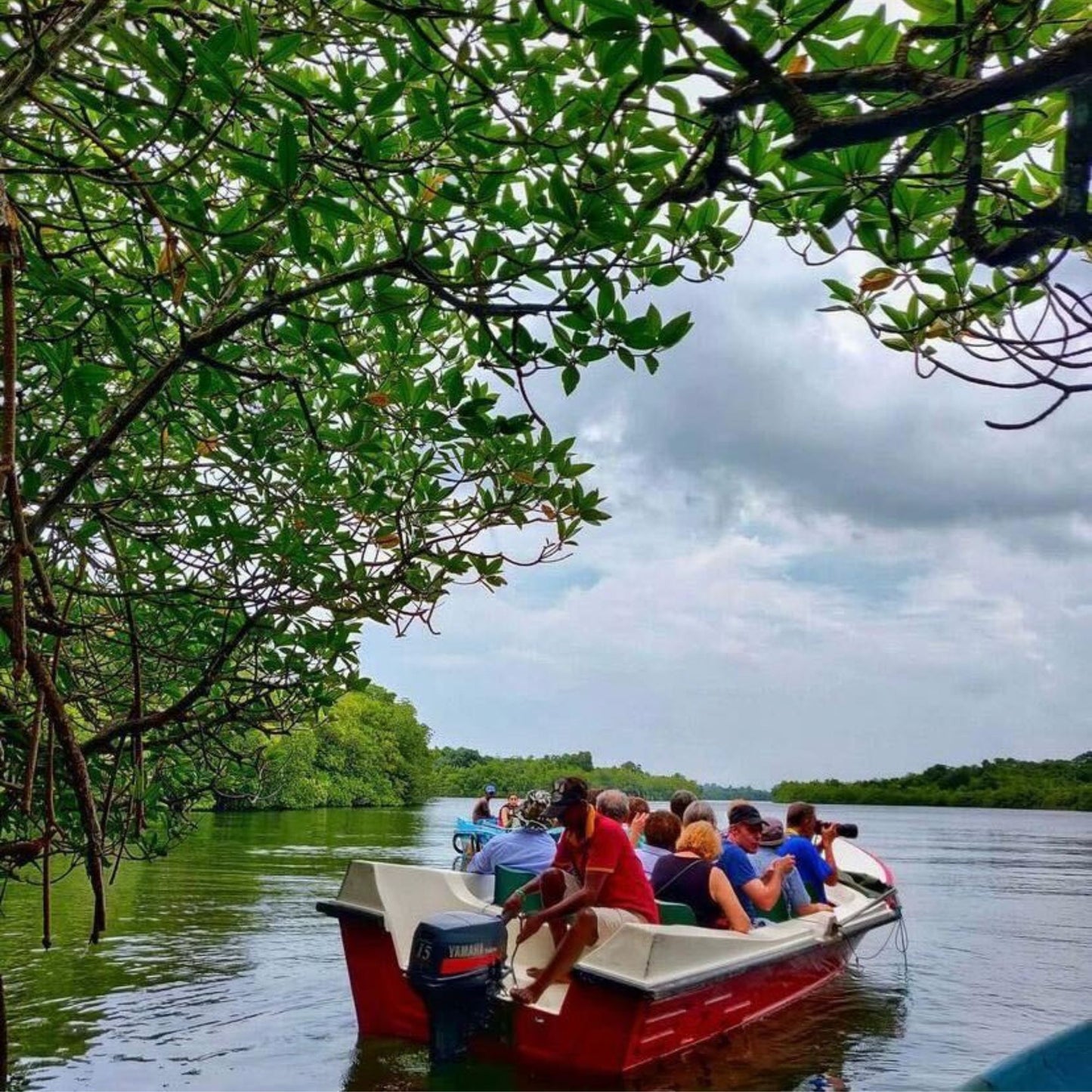 -50% for 2 days 1 night wild Camping for 2 or 5 people at Balapitiya: boat tour to Madhu River Island + full-board meals