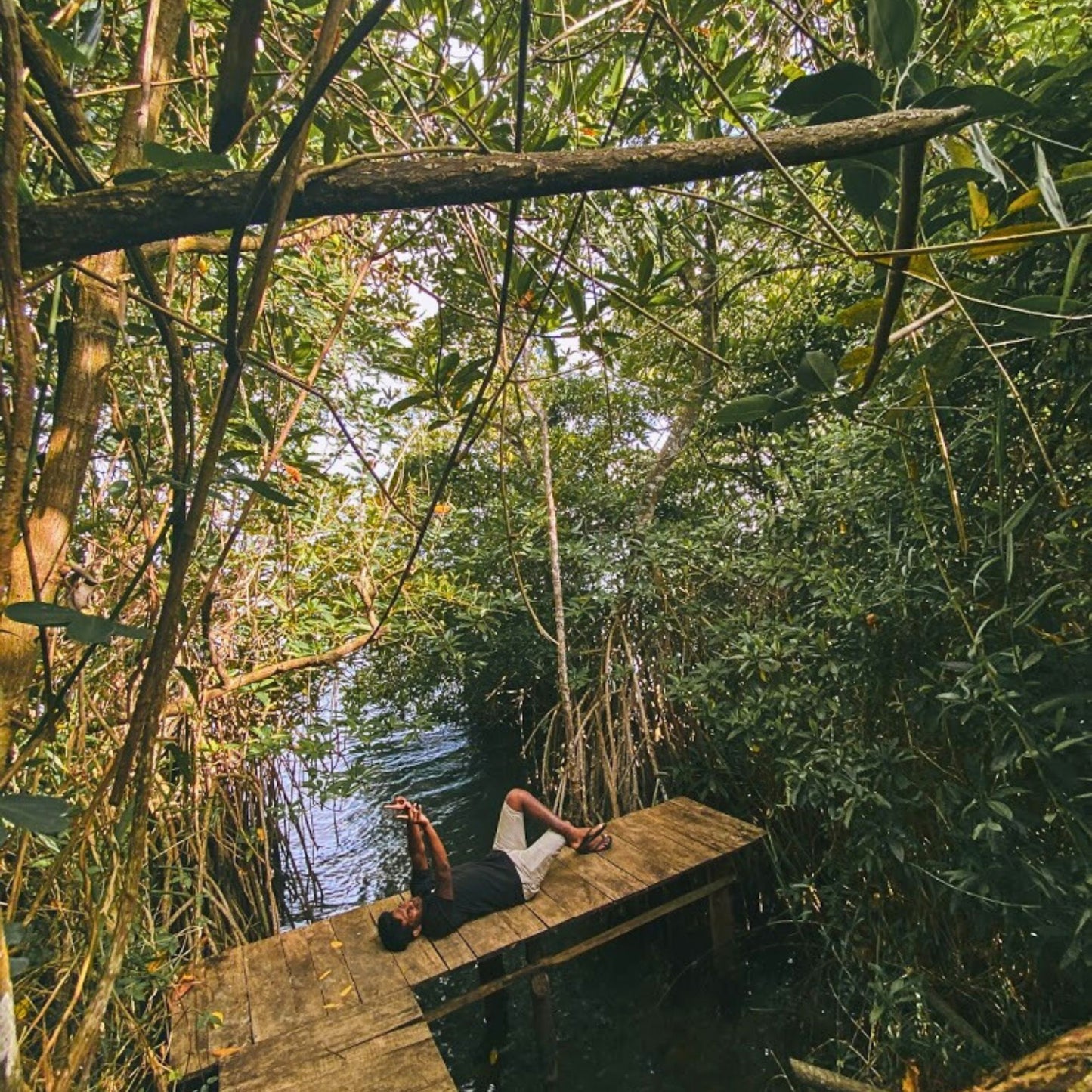 -50% for 2 days 1 night wild Camping for 2 or 5 people at Balapitiya: boat tour to Madhu River Island + full-board meals