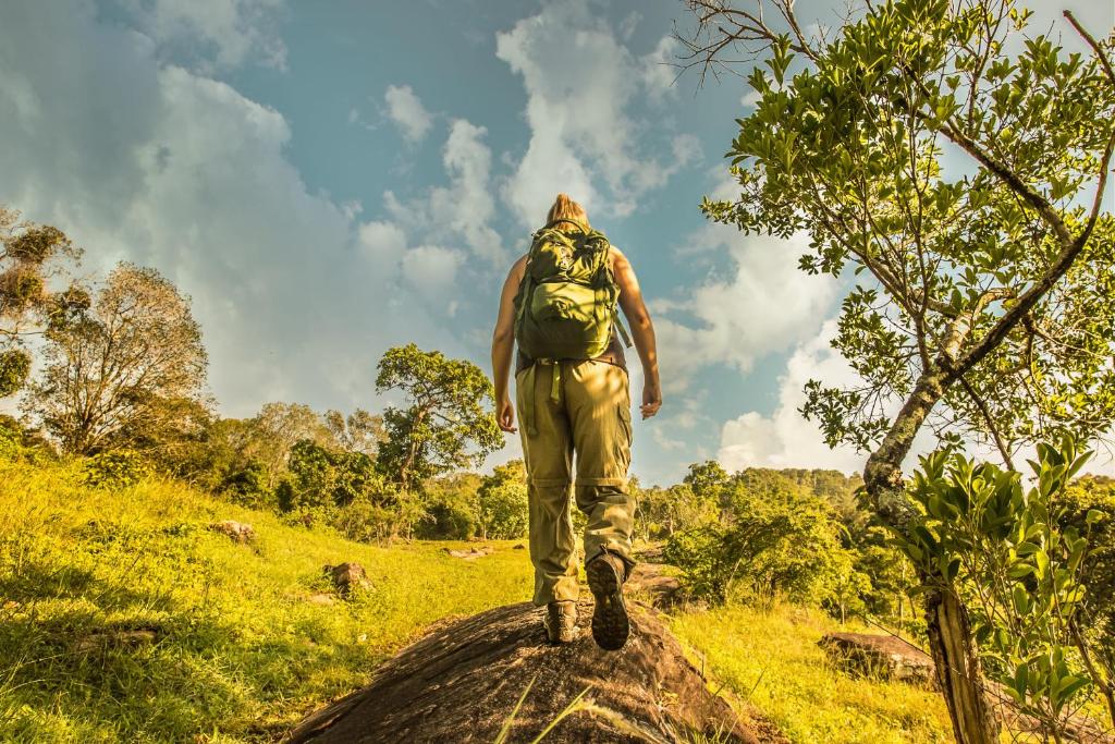 38% OFF for 3 days (2 nights) of Luxury Package in Double Room: Full Board, Private Star Bed, Outdoor Bathtub, Guided Bushwalking and Romantic Meal arrangements!