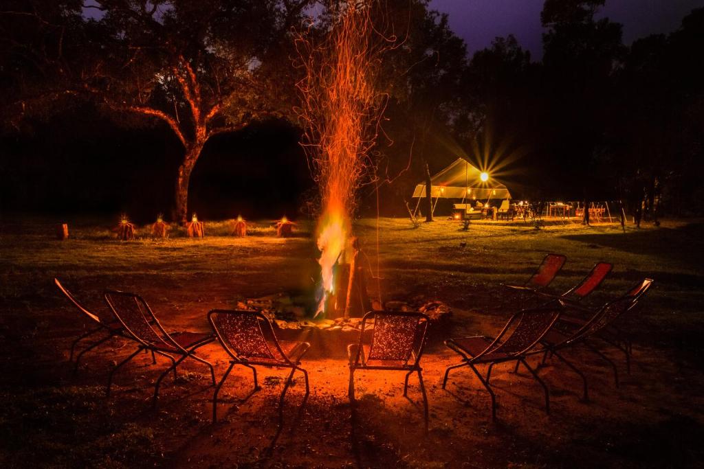 38% OFF for 3 days (2 nights) of Luxury Package in Double Room: Full Board, Private Star Bed, Outdoor Bathtub, Guided Bushwalking and Romantic Meal arrangements!