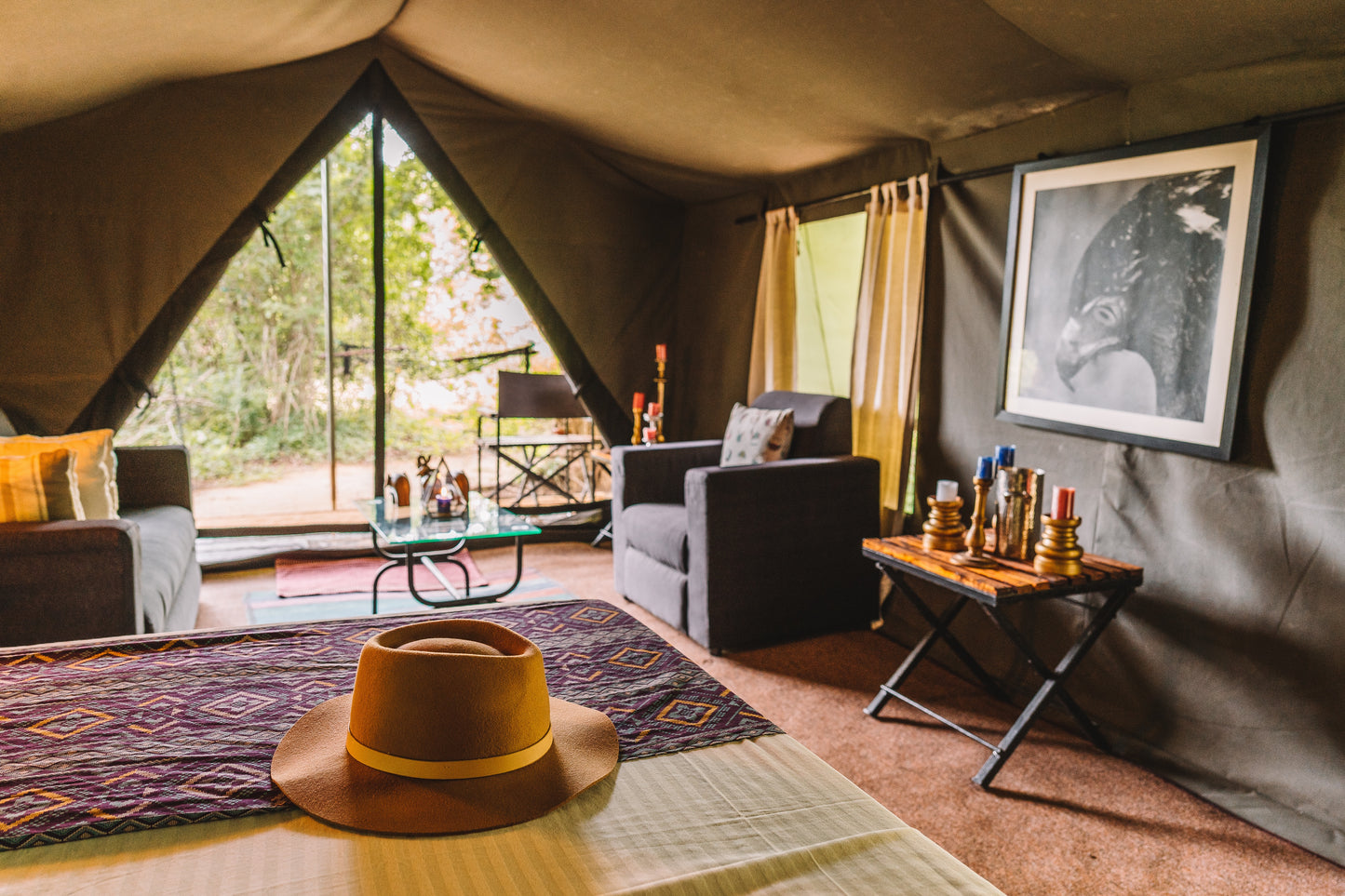 Safari Yala | Feelo Offer