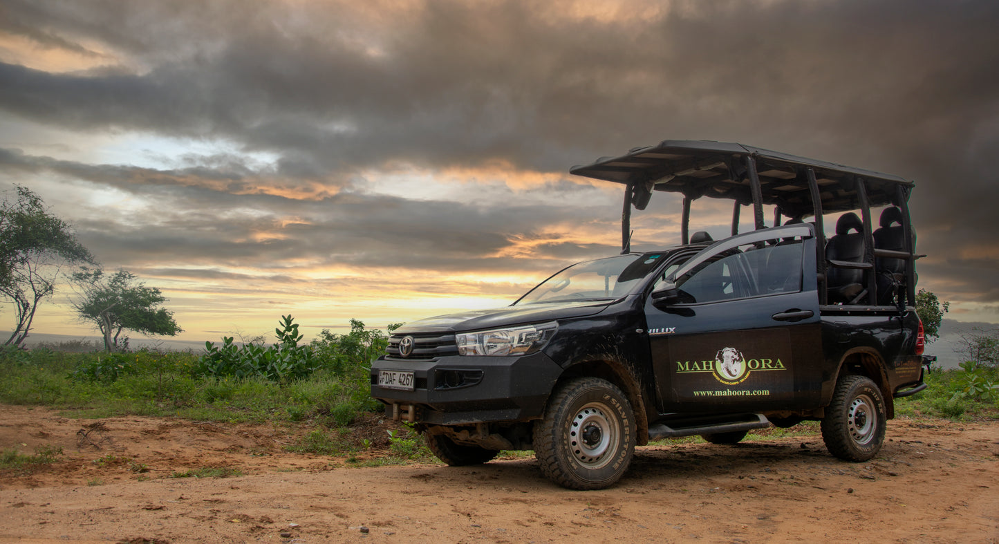 Safari Stay + Meals | Luxury Vacation | Feelo Offer