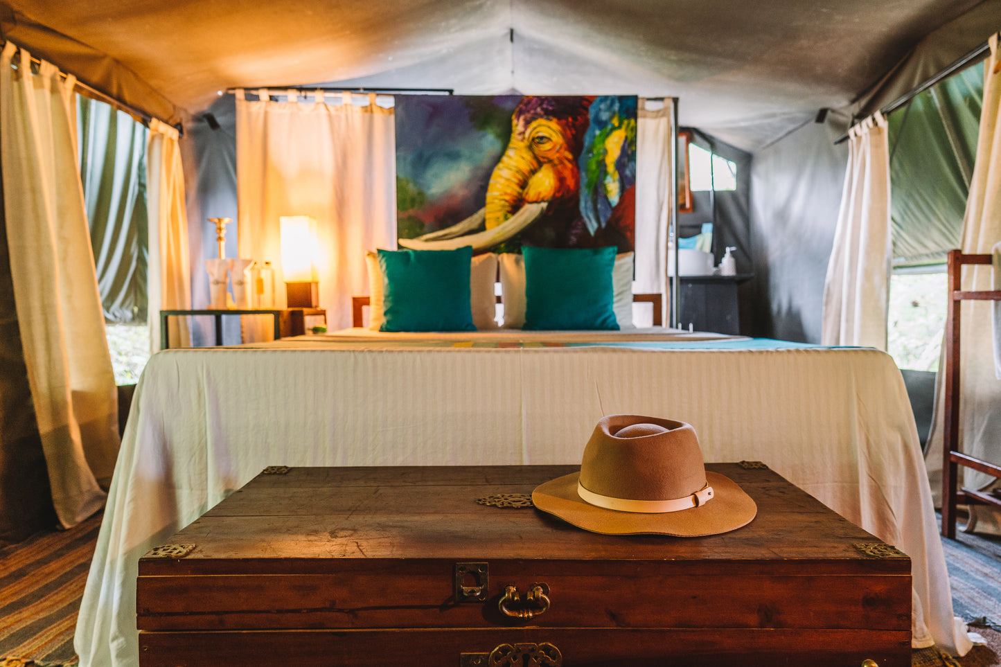 Safari Offer and stay + 5 course meals | Feelo Offer