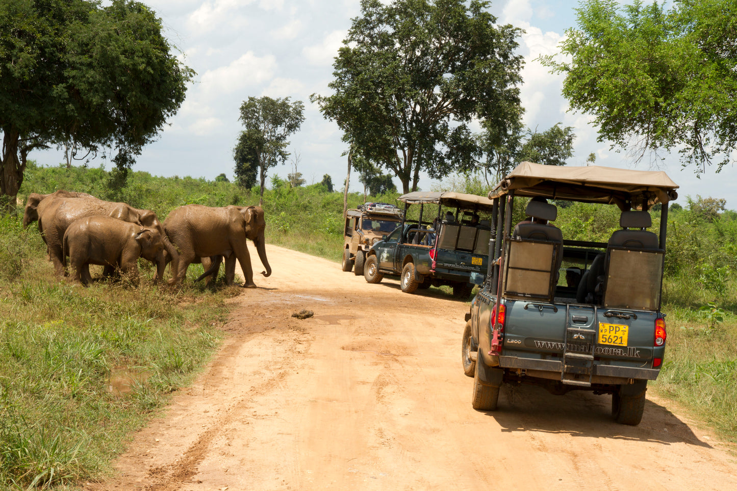 53% OFF for 3 days (2 nights) Package with Double Room, with 5-course meals, BBQ Dinner and 2 Private Safaris!