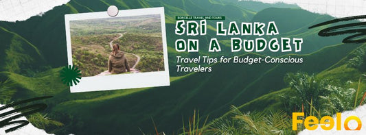 Sri Lanka on a Budget: Travel Tips for Budget-Conscious Travelers - Feelo