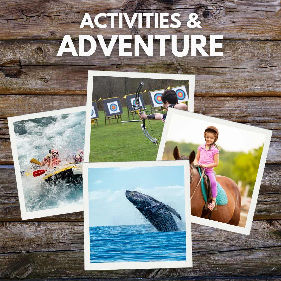 Activity & Adventure Offers - Feelo