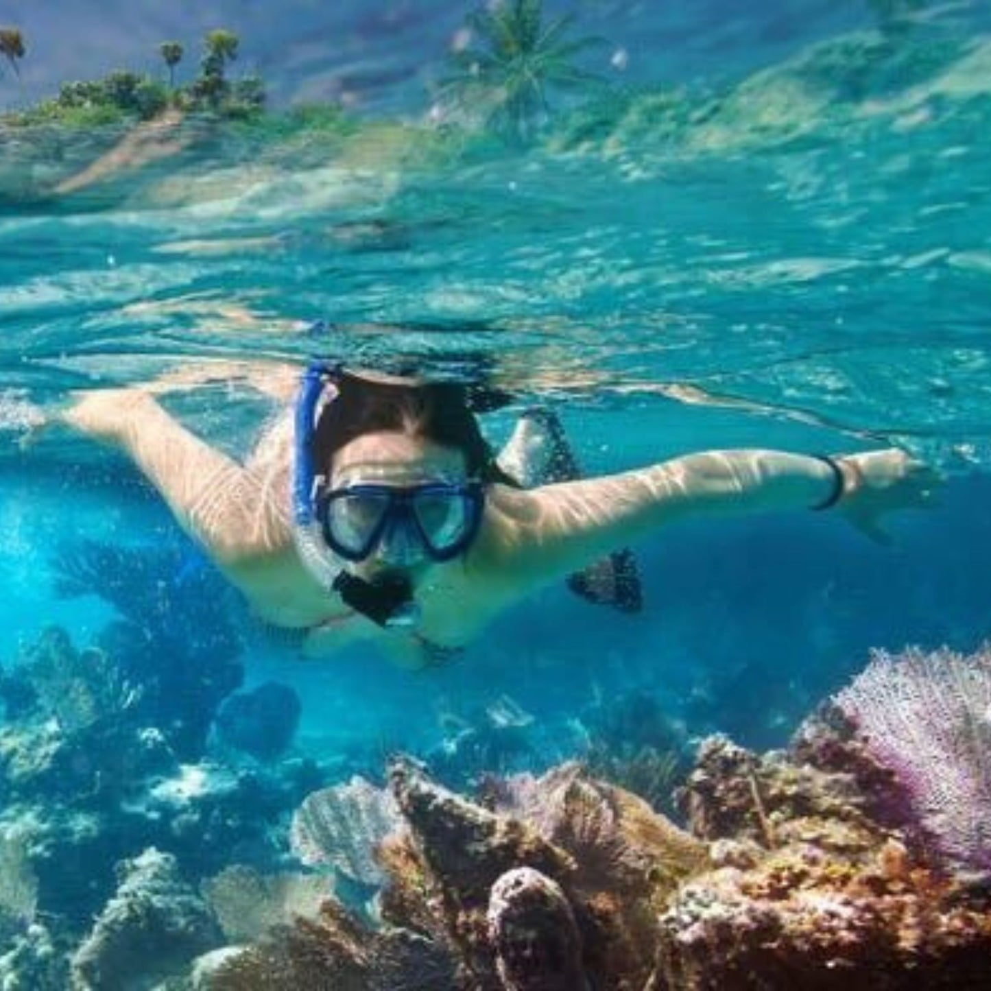 -50% for Snorkeling at Mirissa: guide + swimming to enjoy green turtles, corals, fish and more