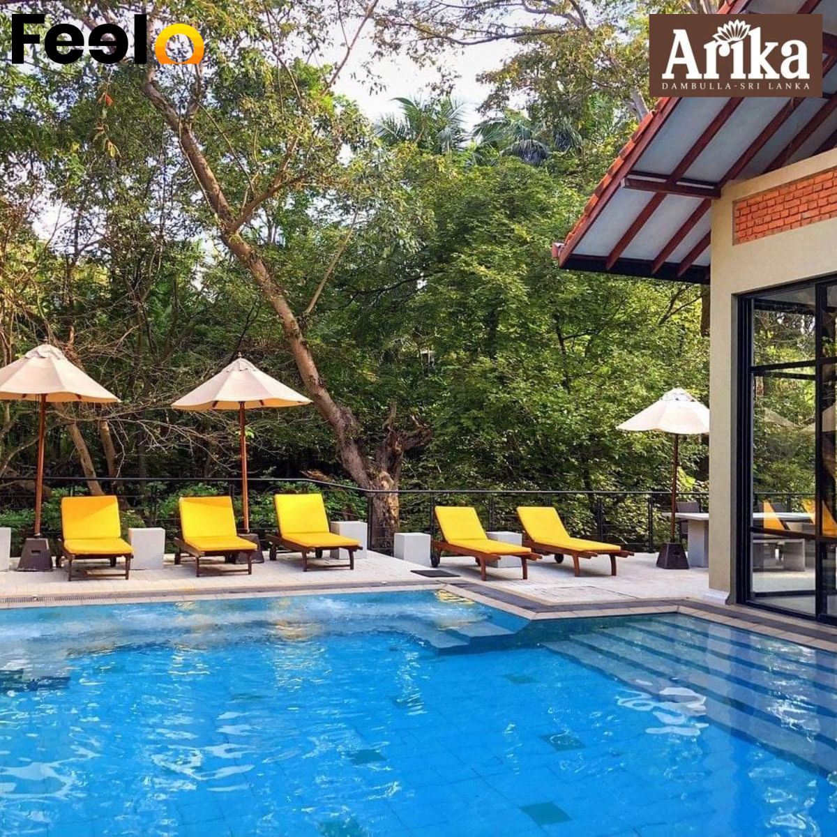 1 Night Half - Board Jungle Getaway for 2 People at Arika Villa - Arika Villa | Feelo