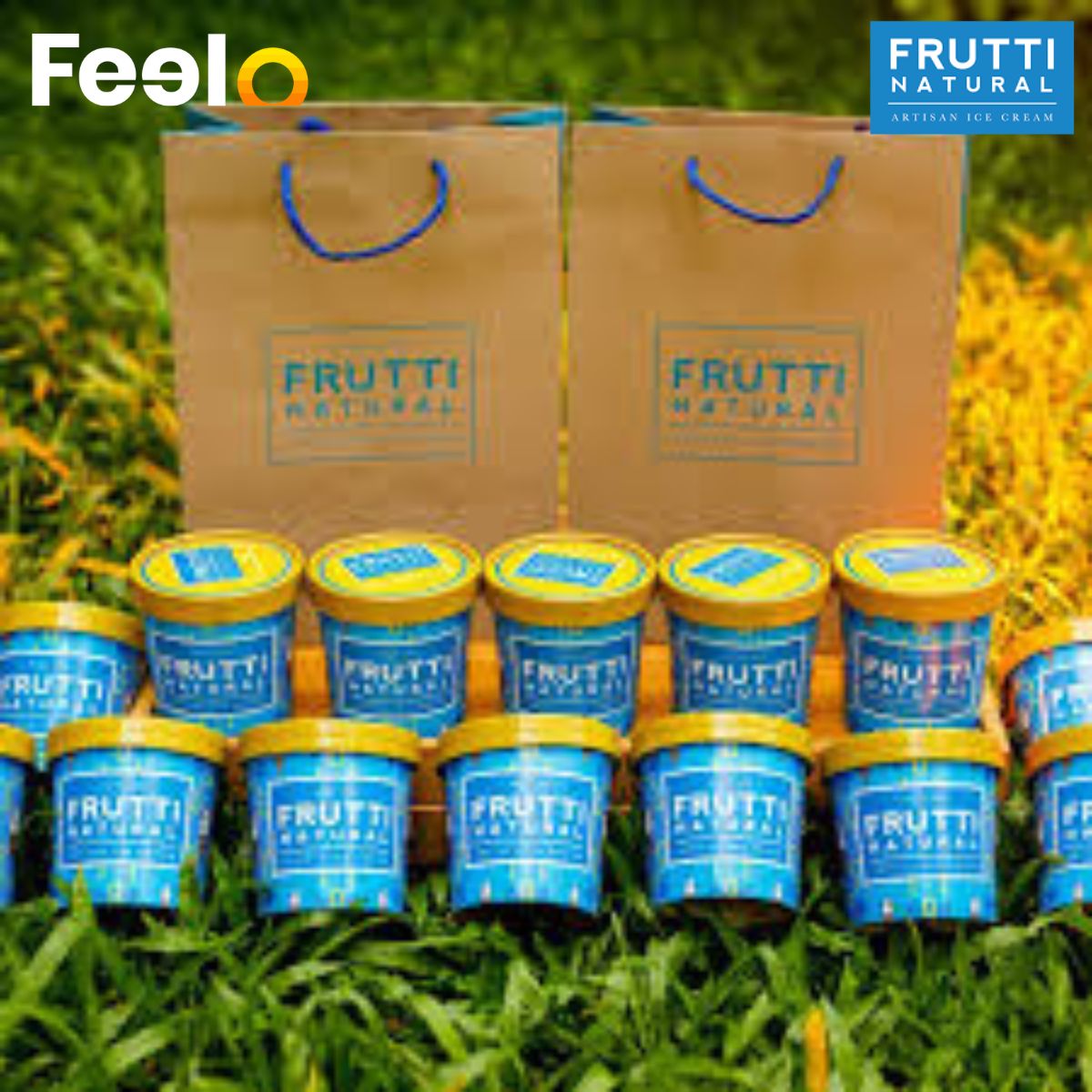 1 or 2 or 4 Delicious Ice Cream Tubs from Frutti Natural’s Flavorful Collection - Frutti Natural, Nugegoda | Feelo