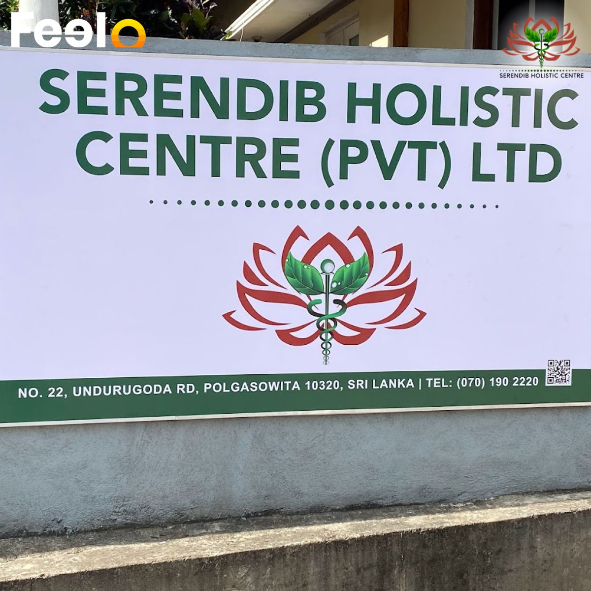 1h 30min Bioresonance Full Body Check - Up from Serendib Holistic Centre - Serendib Holistic Centre | Feelo