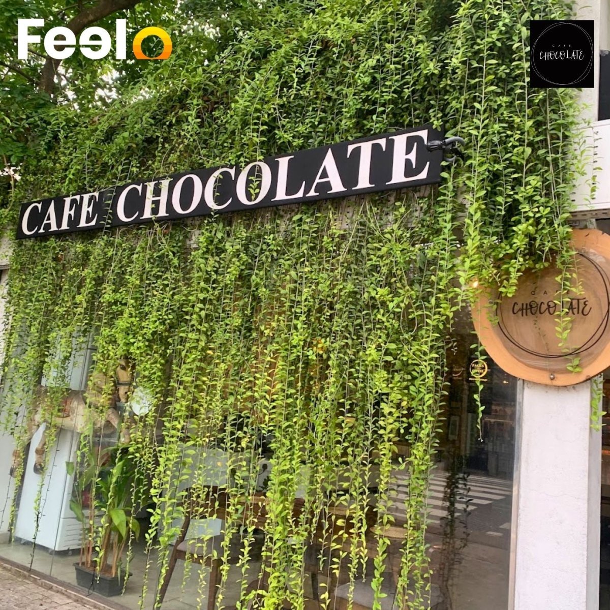1x Homemade Classic Brownie in an Inviting Environment - Café Chocolate, Colombo 05 | Feelo