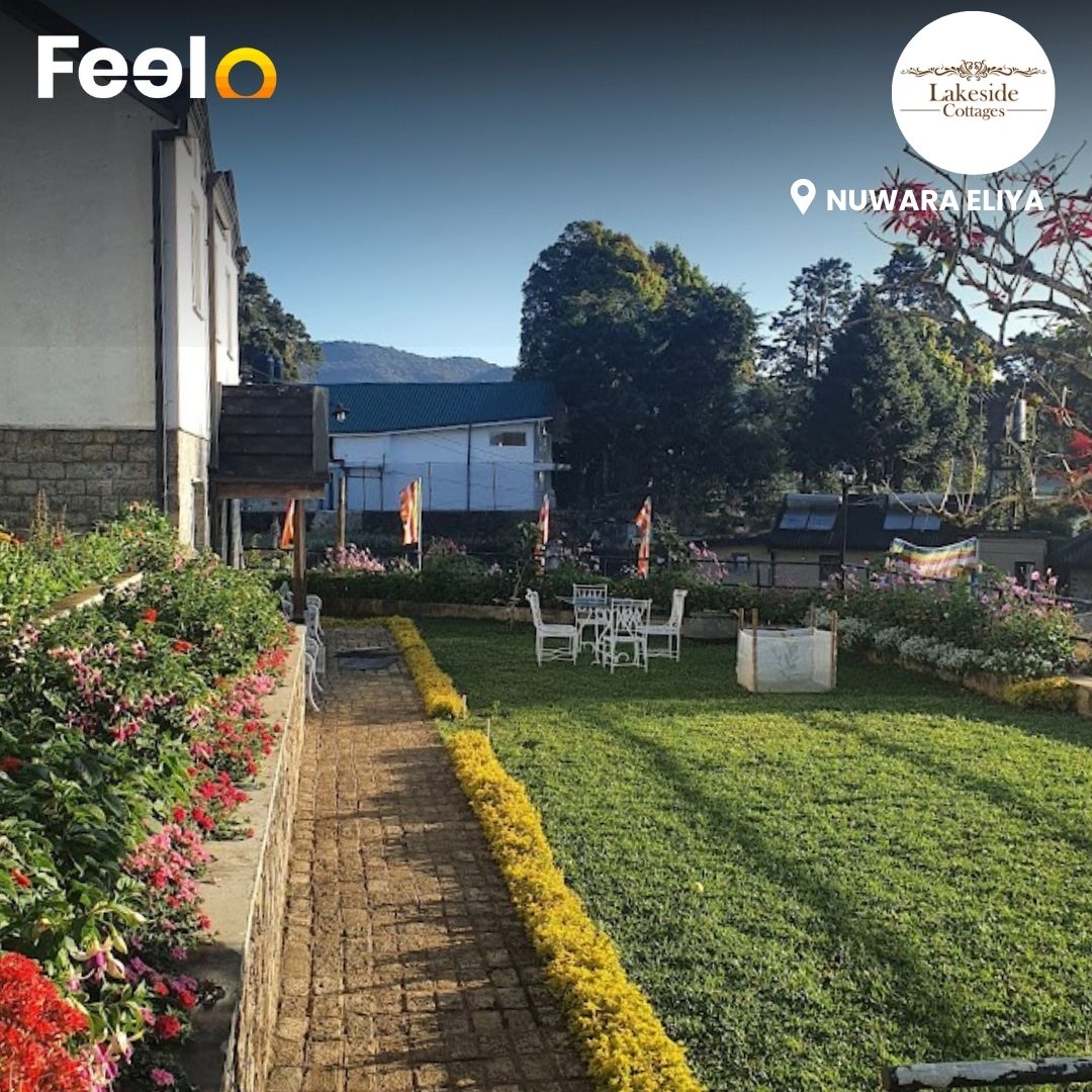 2 Days & 1 Night Stay in a Full Private Cottage for 6 people at Lakeside Cottages | Nuwara Eliya - Lakeside Cottages, Nuwara Eliya | Feelo