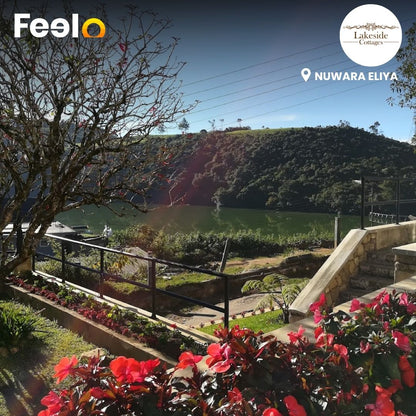 2 Days & 1 Night Stay in a Full Private Cottage for 6 people at Lakeside Cottages | Nuwara Eliya - Lakeside Cottages, Nuwara Eliya | Feelo