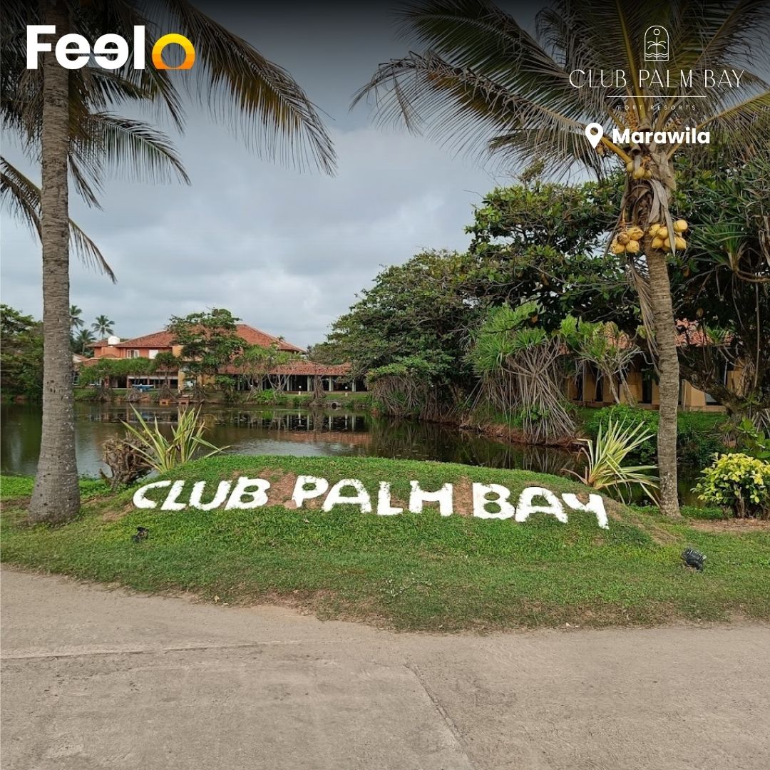 2 Days Full Board Deluxe Double Room + Cycling for 2 people at Hotel Club Palm Bay | Marawila - Hotel Club Palm Bay, Marawila | Feelo