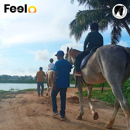 20 min, 40 min or 60 min Guided Horse Riding (laps) around a pleasing lake view - Premadasa Riding School, Nugegoda | Feelo