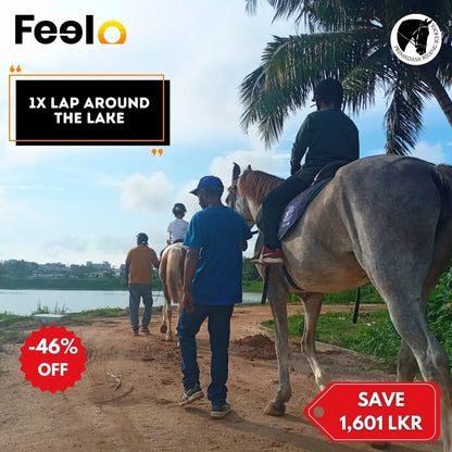 20 min, 40 min or 60 min Guided Horse Riding (laps) around a pleasing lake view - Premadasa Riding School, Nugegoda | Feelo