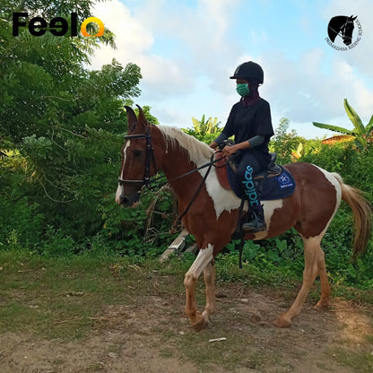 20 min, 40 min or 60 min Guided Horse Riding (laps) around a pleasing lake view - Premadasa Riding School, Nugegoda | Feelo