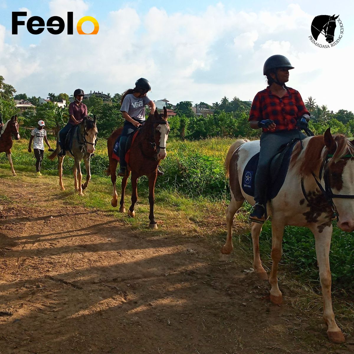 20 min, 40 min or 60 min Guided Horse Riding (laps) around a pleasing lake view - Premadasa Riding School, Nugegoda | Feelo