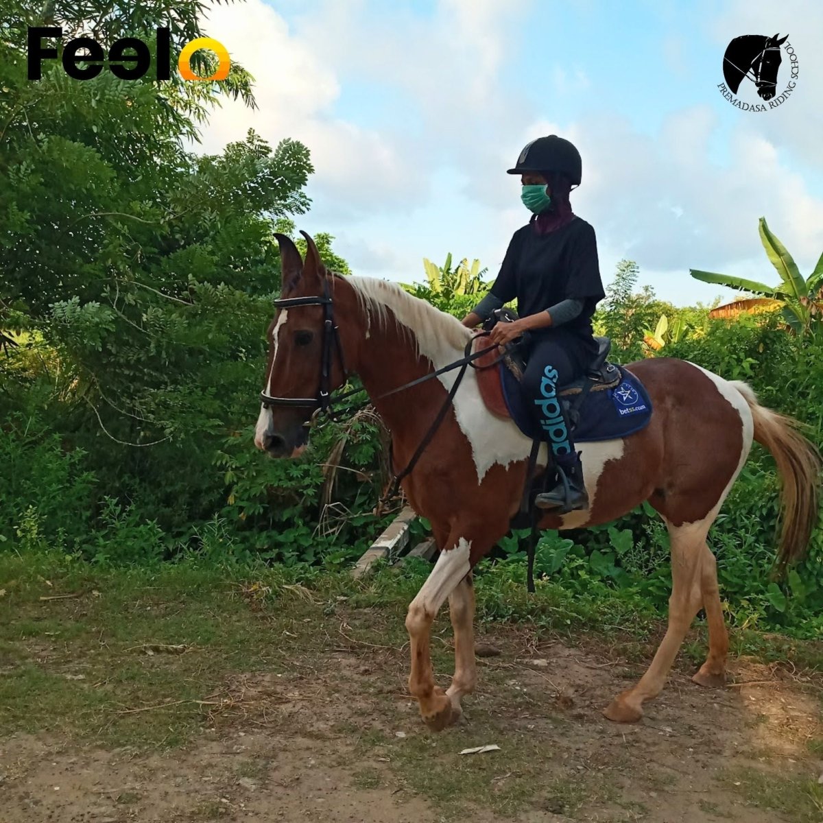 20 min, 40 min or 60 min Guided Horse Riding (laps) around a pleasing lake view - Premadasa Riding School, Nugegoda | Feelo