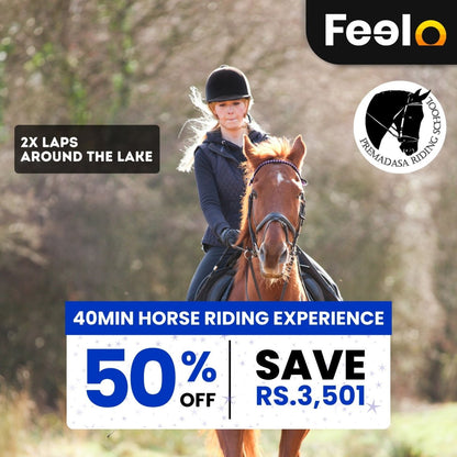 20 min, 40 min or 60 min Guided Horse Riding (laps) around a pleasing lake view - Premadasa Riding School, Nugegoda | Feelo