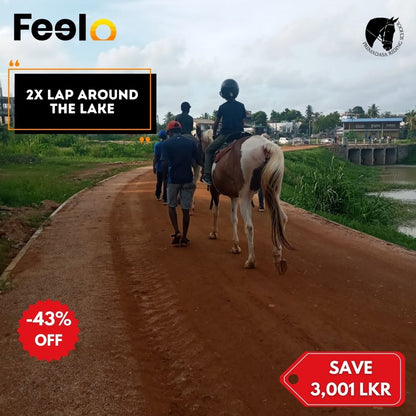 20 min, 40 min or 60 min Guided Horse Riding (laps) around a pleasing lake view - Premadasa Riding School, Nugegoda | Feelo