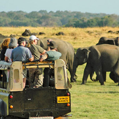 3 or 4 Days with Private Jacuzzi, Full-board, Pools & Safari for 2 people - Seerock The King’s Domain Hotel, Sigiriya | Feelo