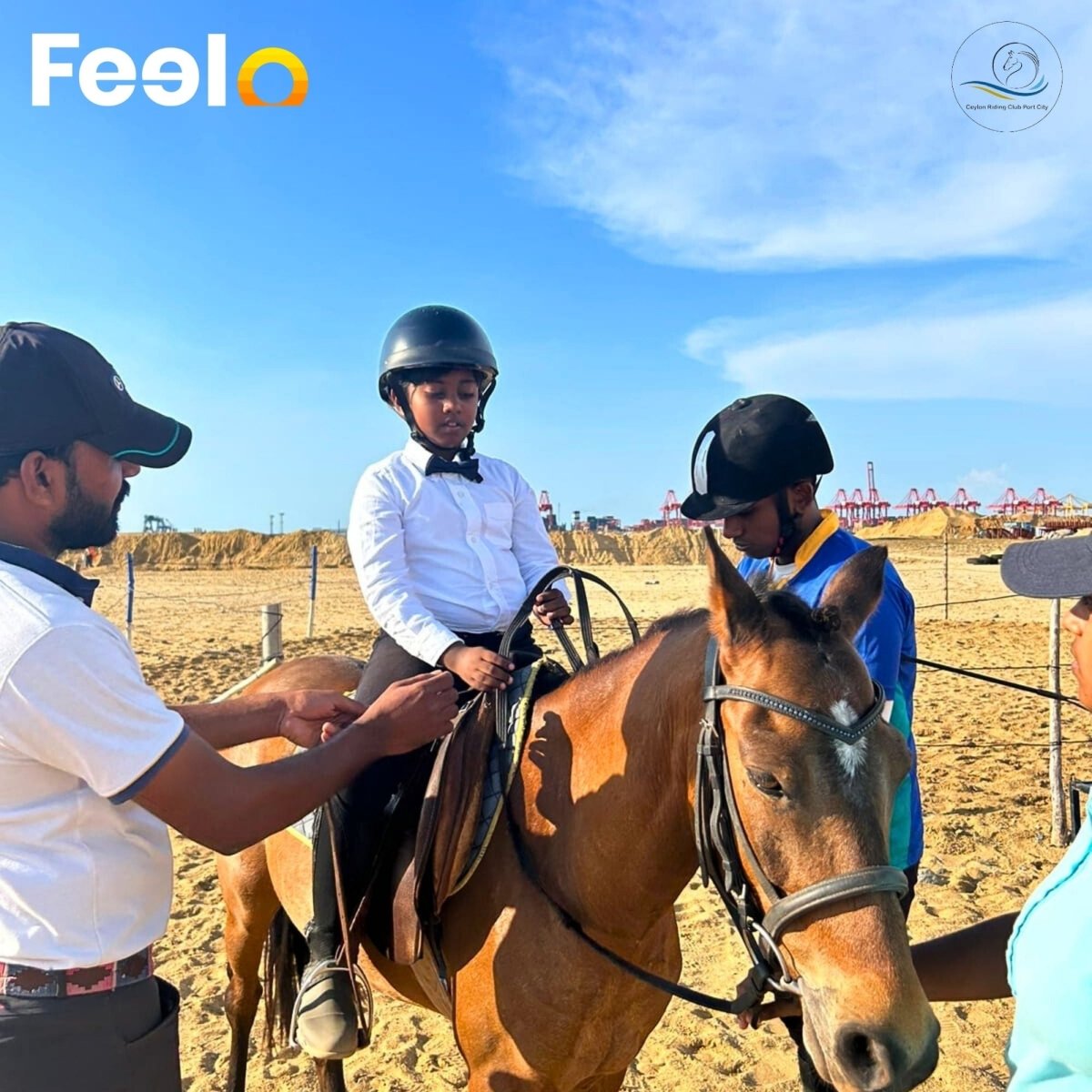 30min Horse Riding & Learning Basic Horse Controls in Port City, Colombo - Ceylon Riding Club-Port city, Colombo | Feelo