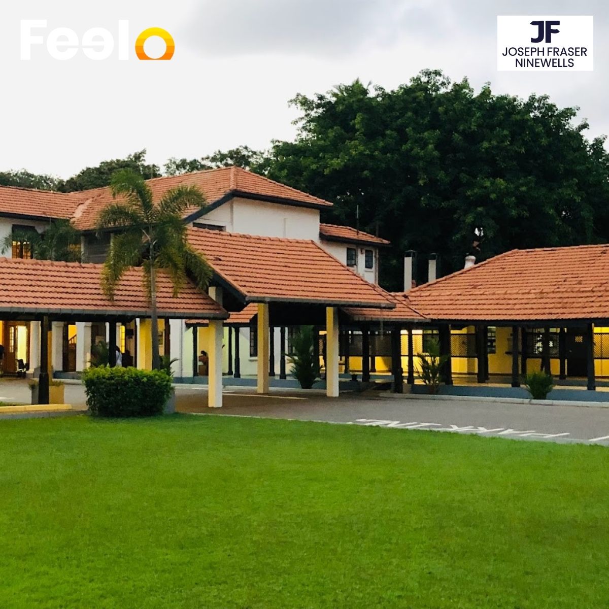 40 minutes Relaxing Ayurvedic Knee - to - Toe Foot Massage - Joseph Fraser Ninewells, Colombo 05 | Feelo