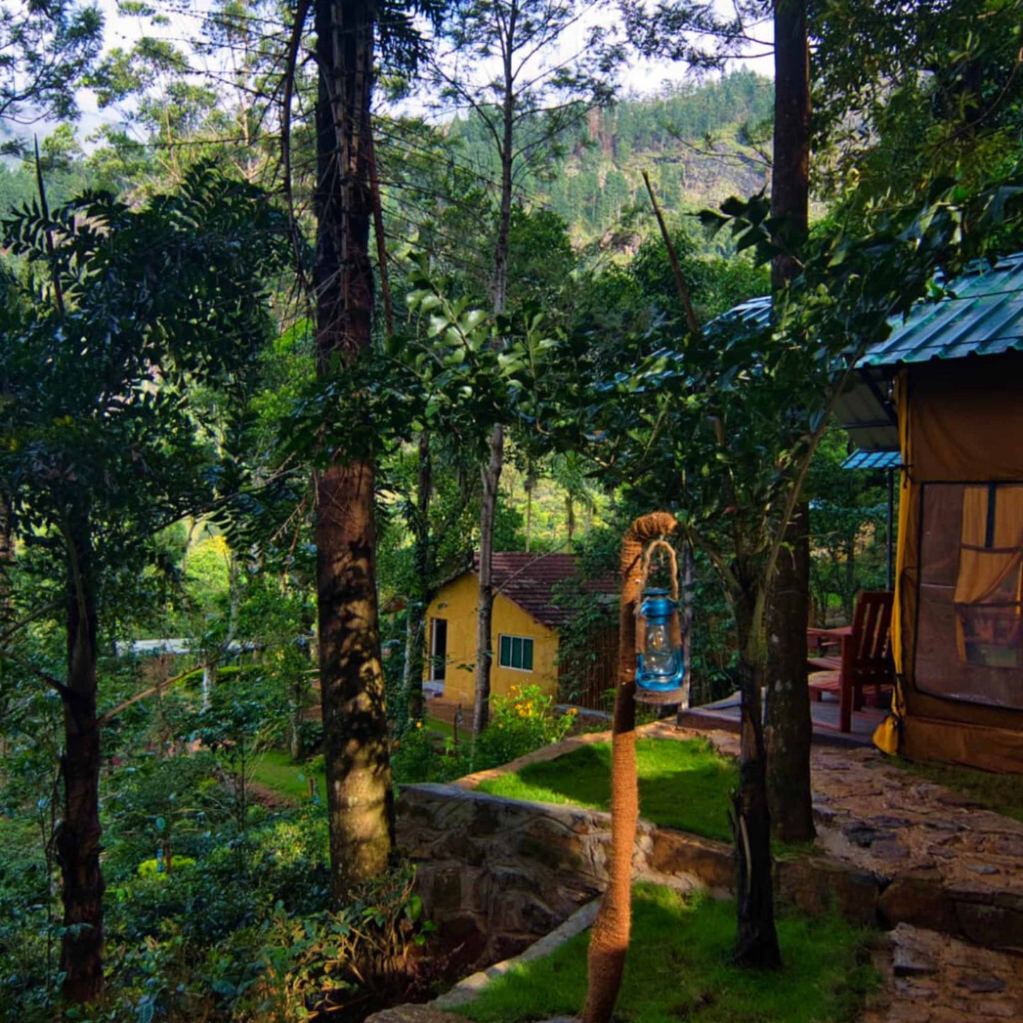 41% OFF: Buy 2 Nights and 3 Days Stay and get an additional 1 Night stay FREE with Bed & Breakfast for 2 people. Waterfall Hike + River Hike & Secret Waterfall Exploring Included