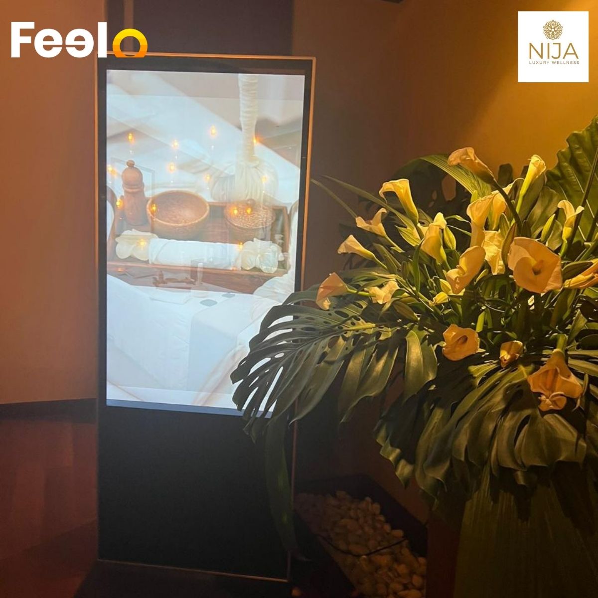 60 - Minute Luxury Facial with Deep Cleansing at NIJA LUXURY WELLNESS - NIJA LUXURY WELLNESS | Feelo