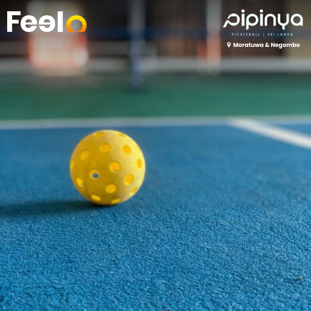 60mins of Pickleball for 2 - 6 People with Equipment Included from Pipinya Active | Moratuwa or Negombo - Pipinya Active, Moratuwa or Negombo | Feelo