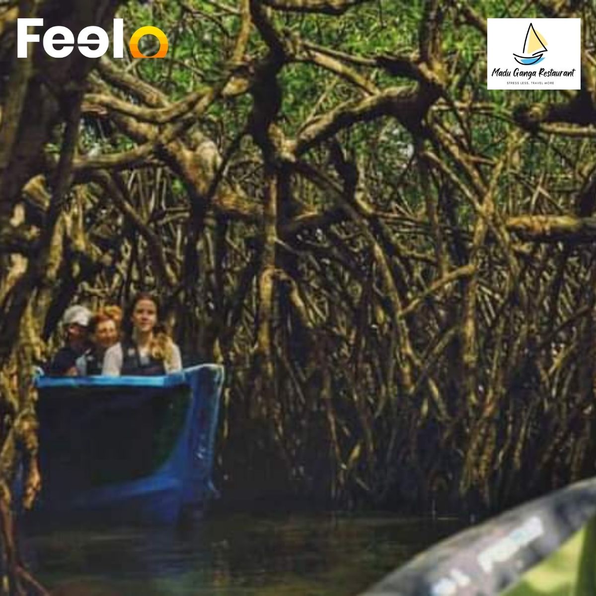 Adventure on Madu Ganga: 1h 30 min Boat Safari for 2 with Fish Massage & Cinnamon Tea - Madu Ganga Boat Safari | Feelo