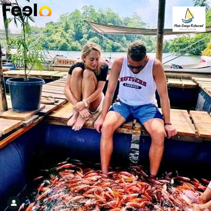 Adventure on Madu Ganga: 1h 30min Boat Safari for 2 with Fish Massage & Cinnamon Tea - Madu Ganga Boat Safari | Feelo