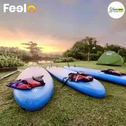 EcoGrip Adventure: One Day Trip with Paddle Boarding and Nature Exploration for 2 People - EcoGrip Adventure | Feelo