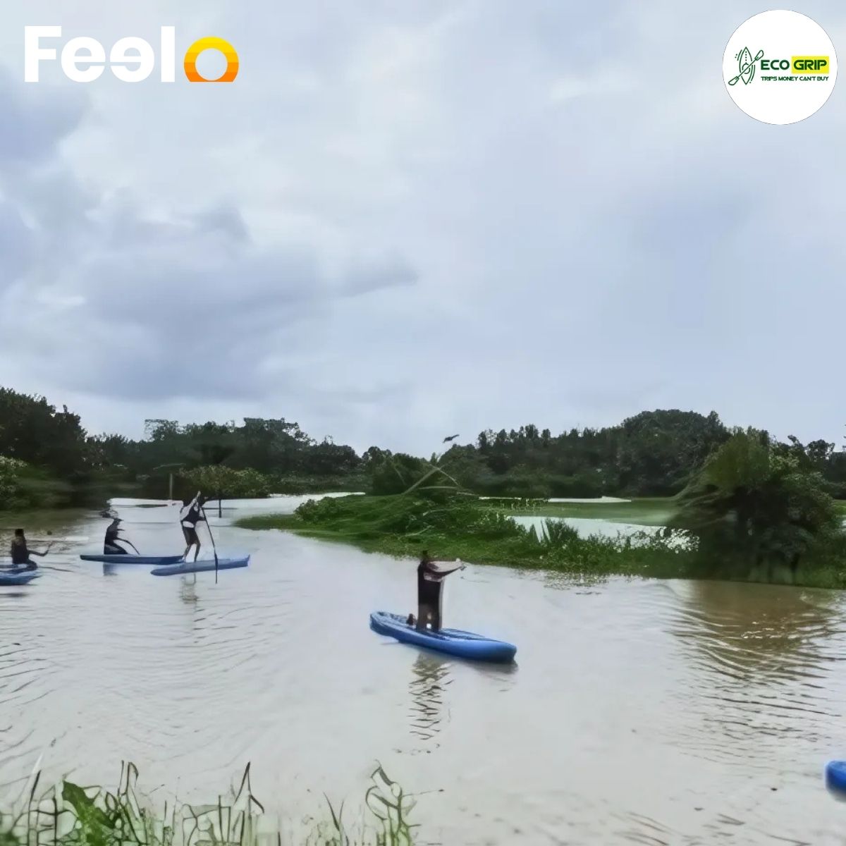 EcoGrip Adventure: One Day Trip with Paddle Boarding and Nature Exploration for 2 People - EcoGrip Adventure | Feelo