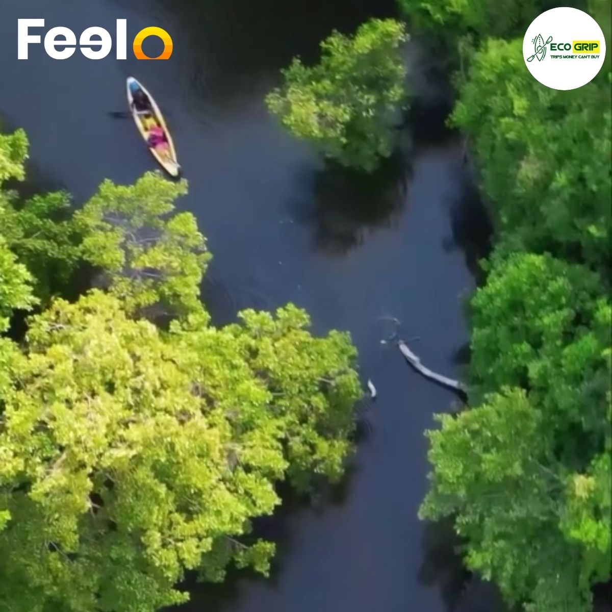 EcoGrip Adventure: One Day Trip with Paddle Boarding and Nature Exploration for 2 People - EcoGrip Adventure | Feelo