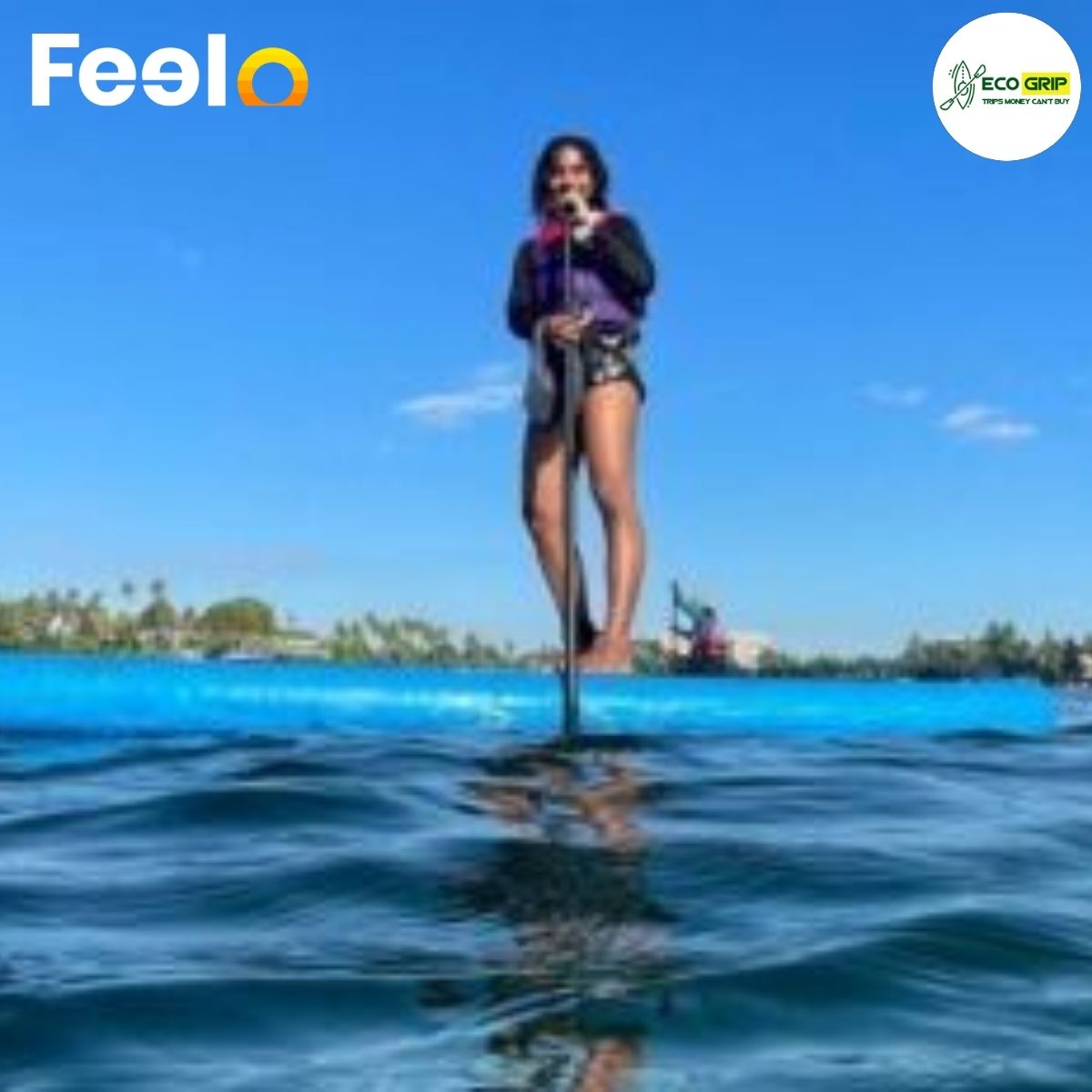 EcoGrip Adventure: One Day Trip with Paddle Boarding and Nature Exploration for 2 People - EcoGrip Adventure | Feelo