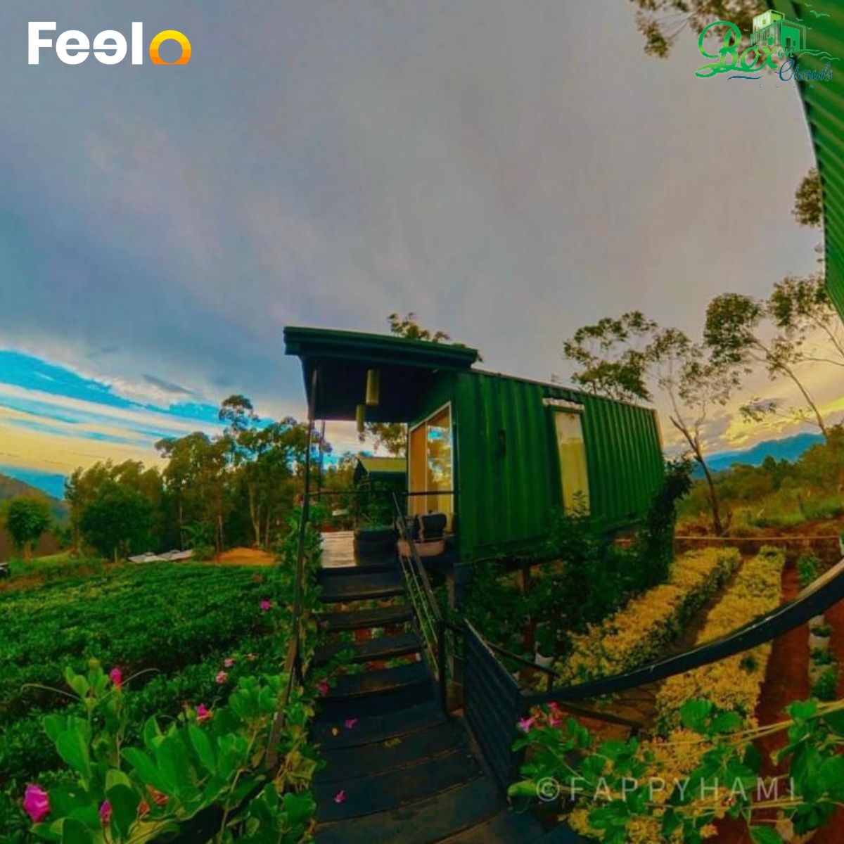 Sleep in the Clouds: 1 Night BB Stay for 2 people in Ella - Box on Clouds, Ella | Feelo