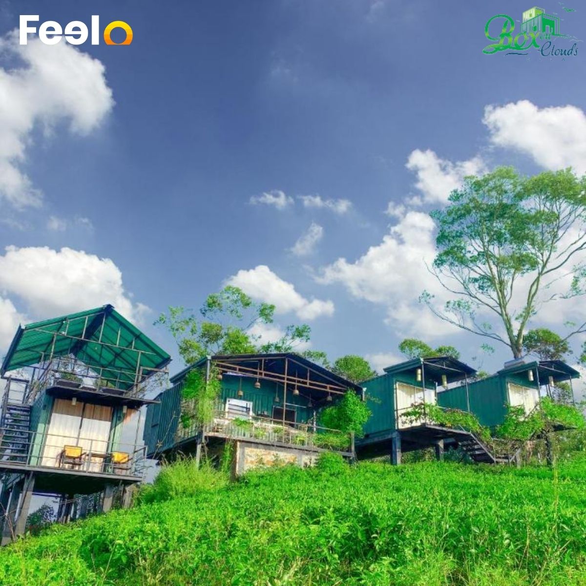 Sleep in the Clouds: 1 Night BB Stay for 2 people in Ella - Box on Clouds, Ella | Feelo