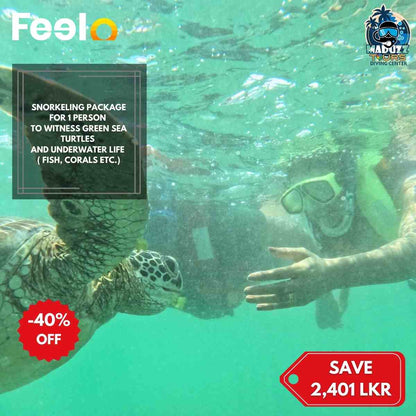 Snorkeling package for 1x person to witness Green Sea Turtles and Underwater life (Fish, Corals etc.) - Maduzz Tours Mirissa | Feelo